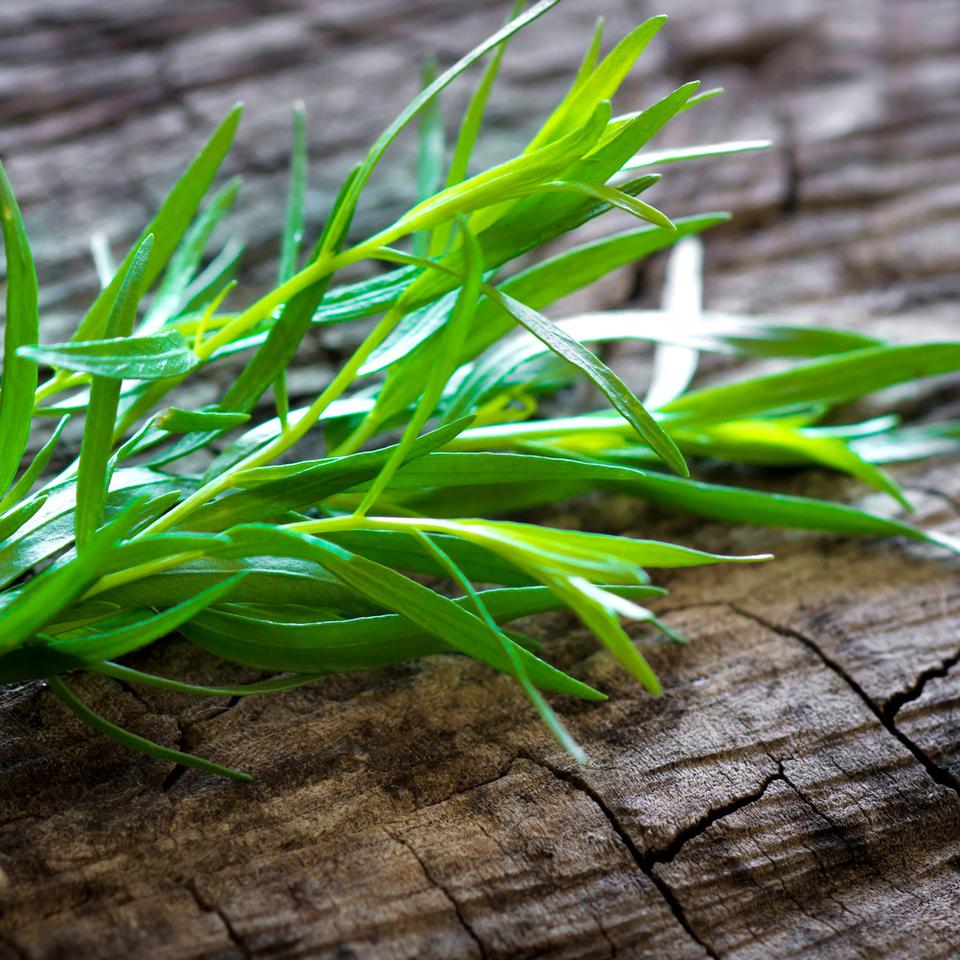 Quels sont les bienfaits de l'estragon — free download